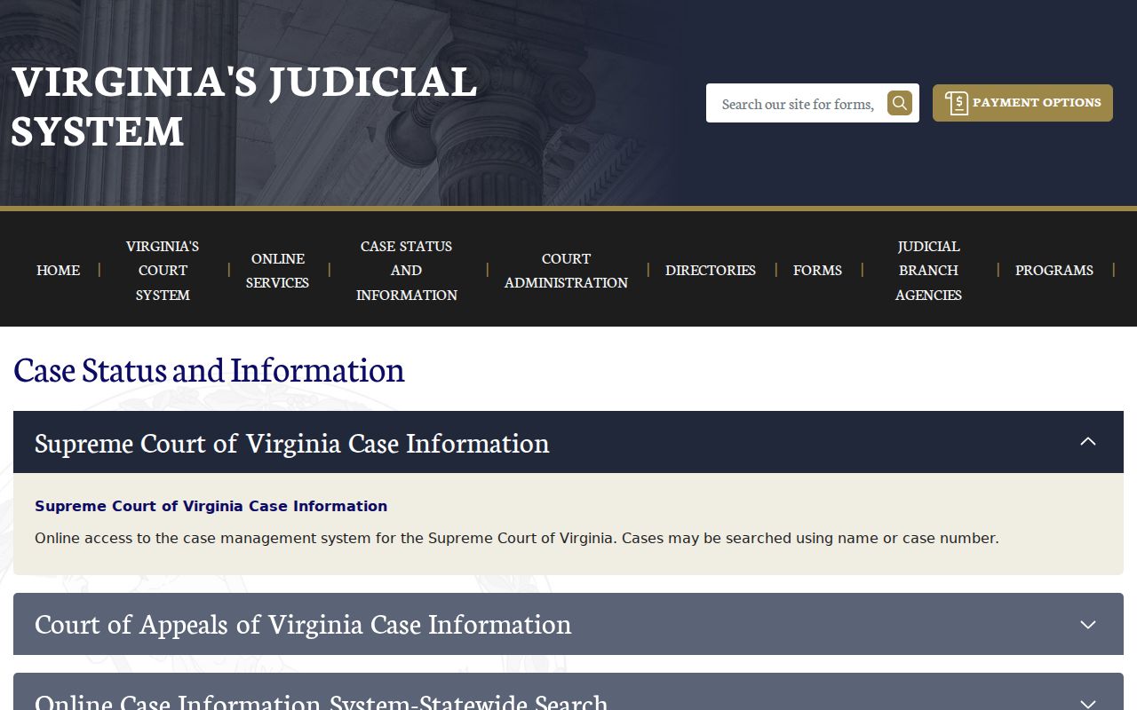 Virginia criminal court case information system choices
